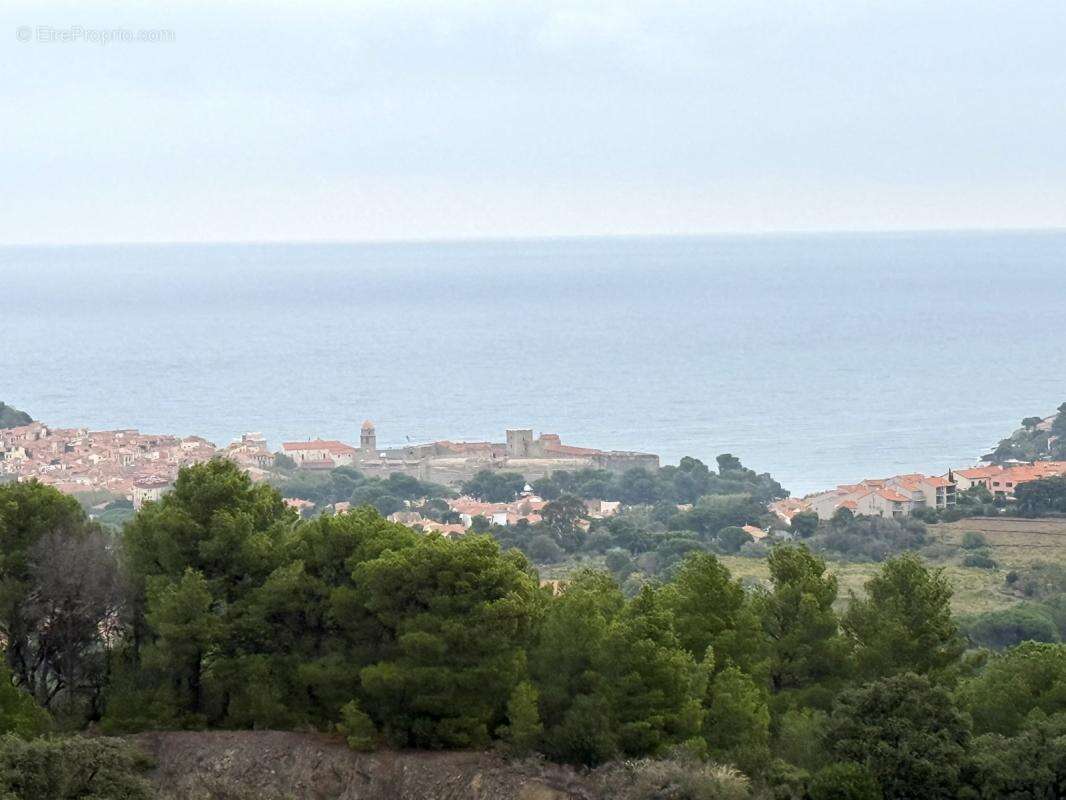 Terrain à COLLIOURE