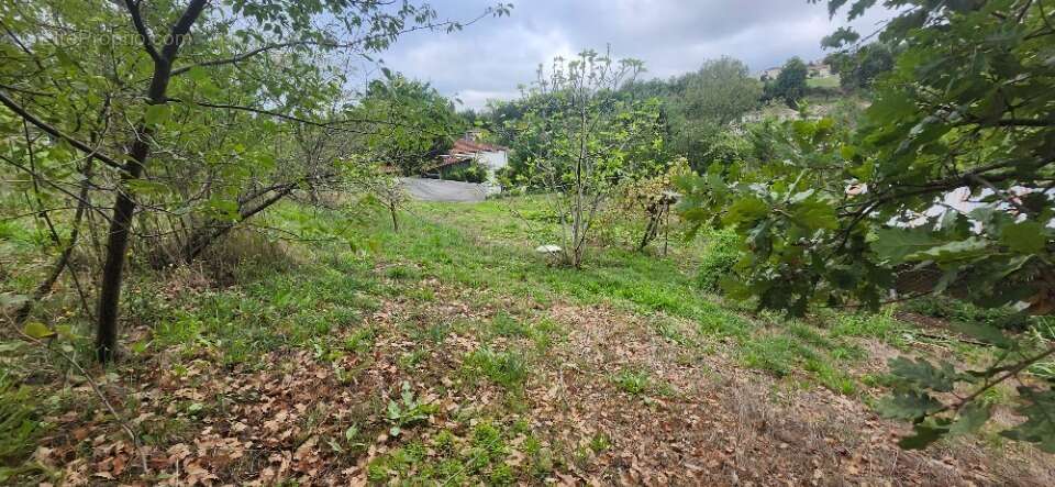 Terrain à PUYGOUZON