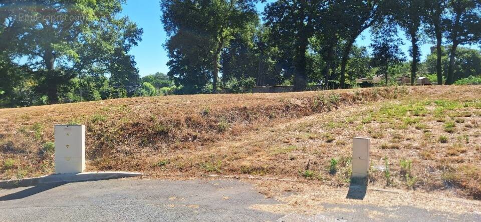 Terrain à LE CASTERA