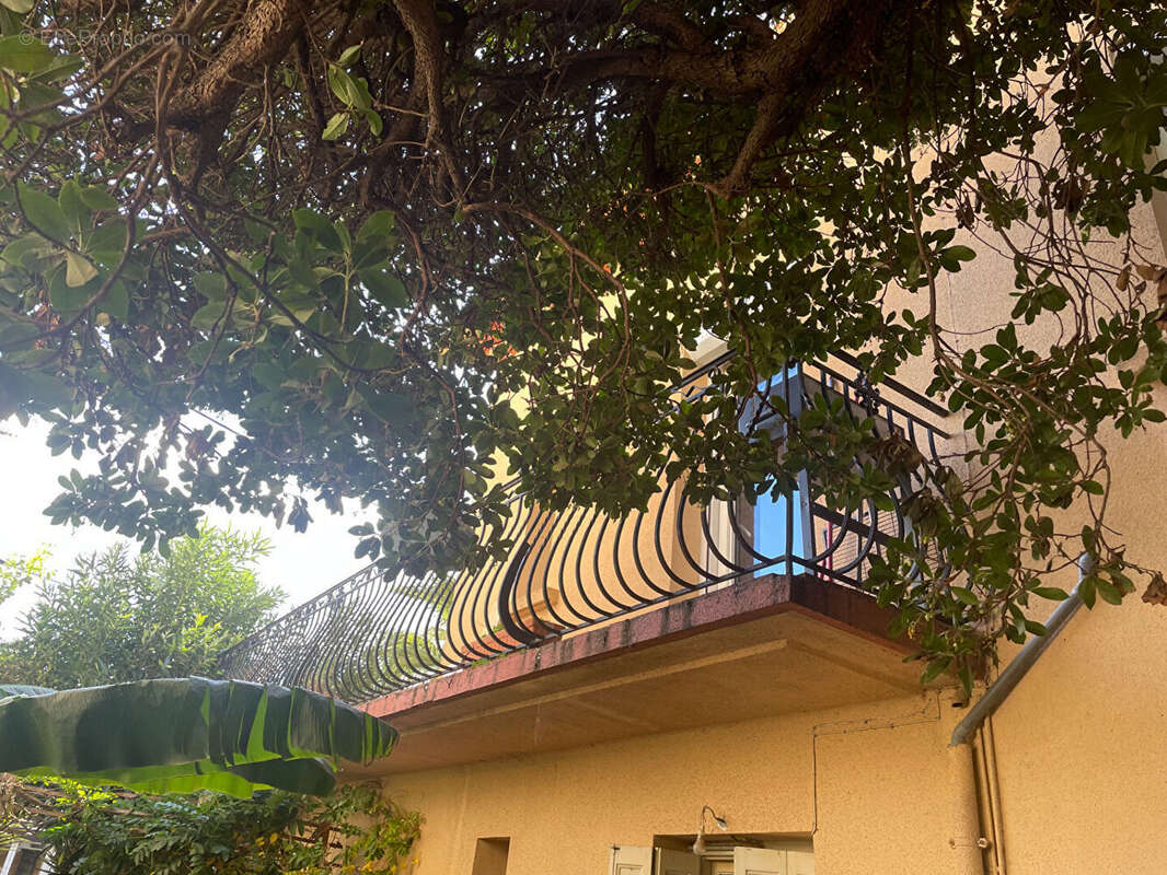 Maison à ARGELES-SUR-MER