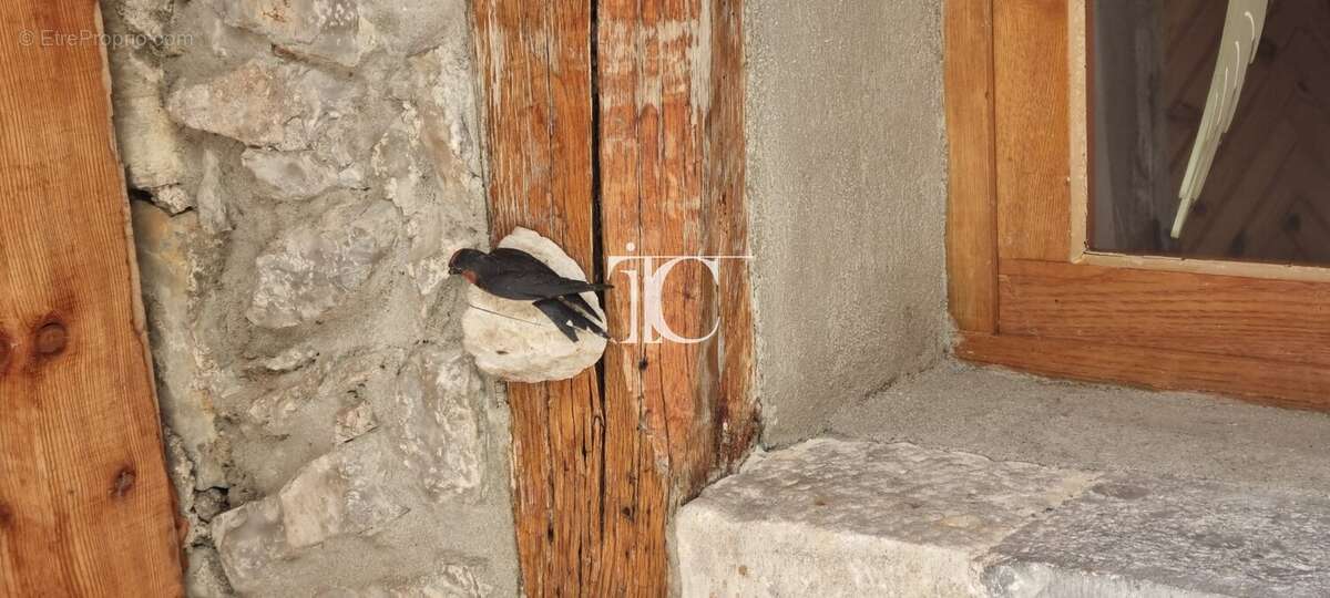 Maison ancienne avec cour intérieure, garage et caves voûtées - photo 2
