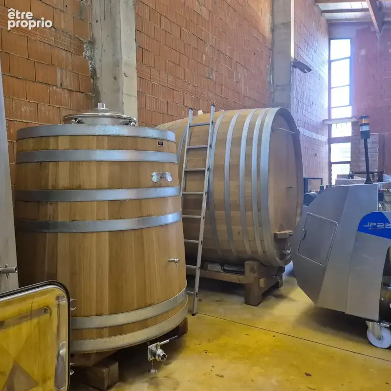 Domaine viticole - photo 10