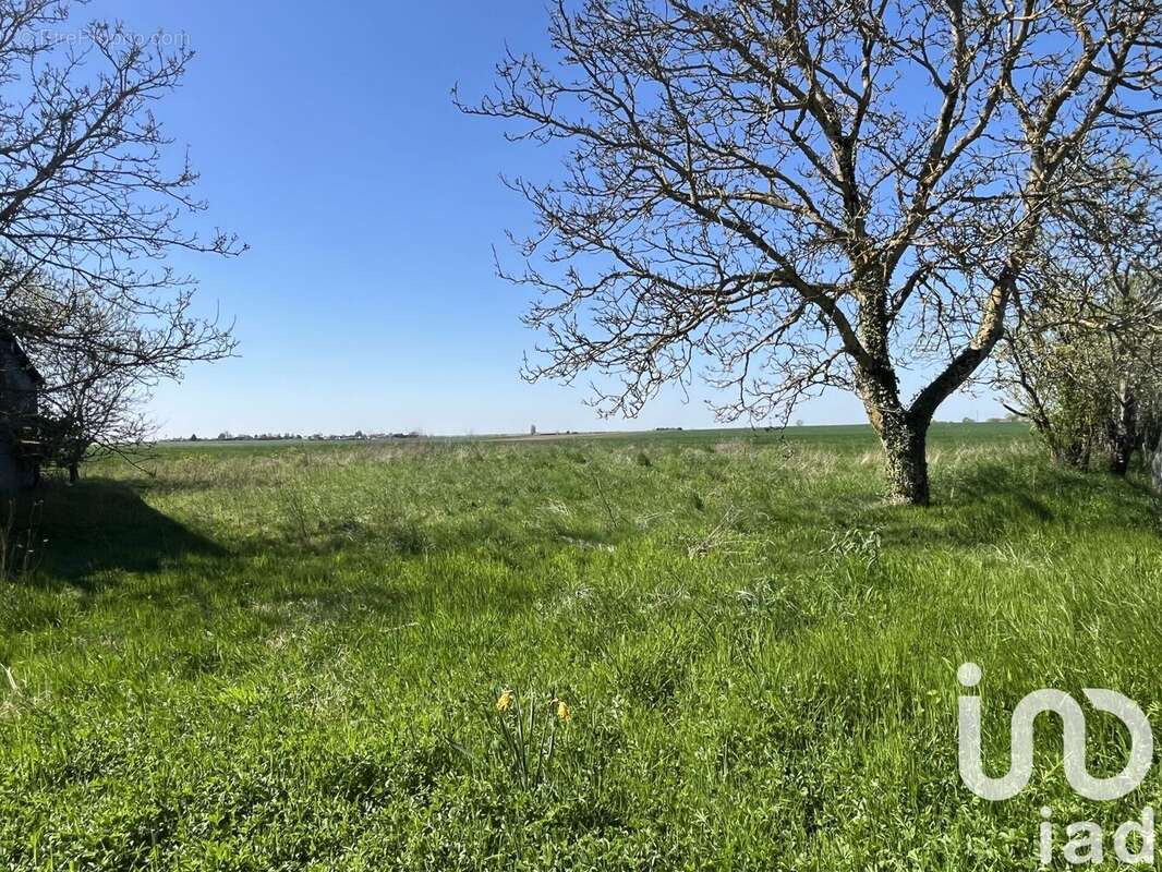 Photo 3 - Terrain à CHAMBOURG-SUR-INDRE