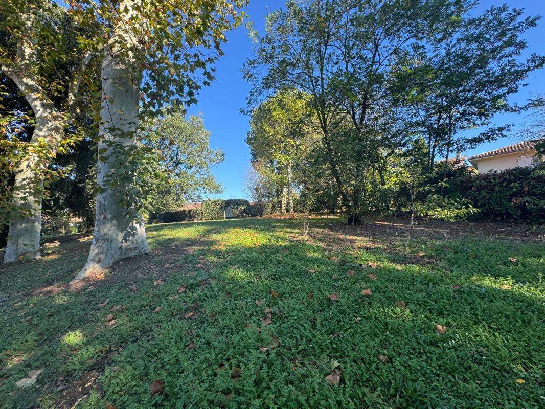 Appartement à RAMONVILLE-SAINT-AGNE