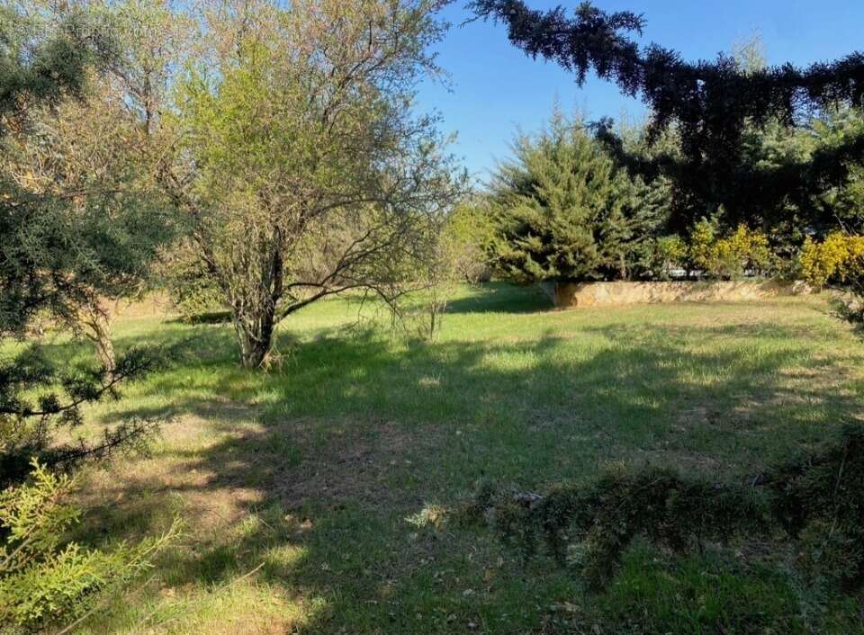 Terrain 2122 m² à Saint-Maximin-La-Sainte-Baume  - photo 5