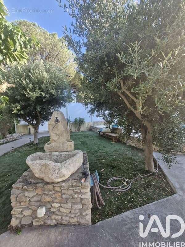 Photo 5 - Maison à MARSEILLAN