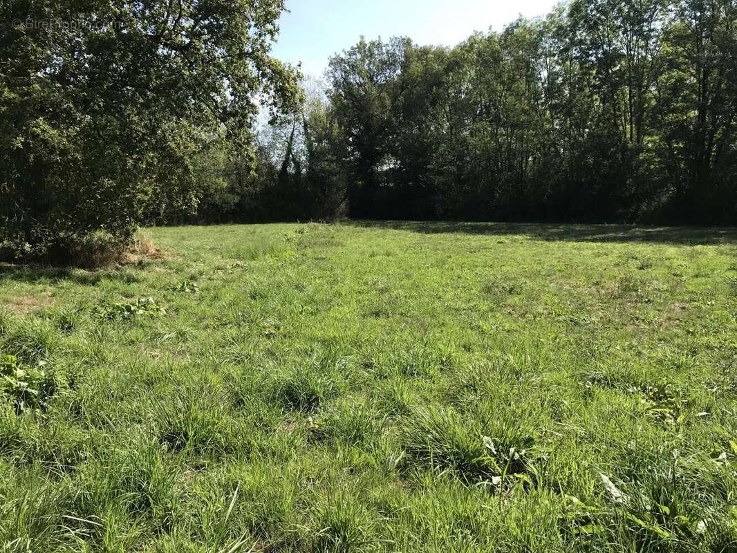 Maison à SAINT-MARTIN-LE-MAULT