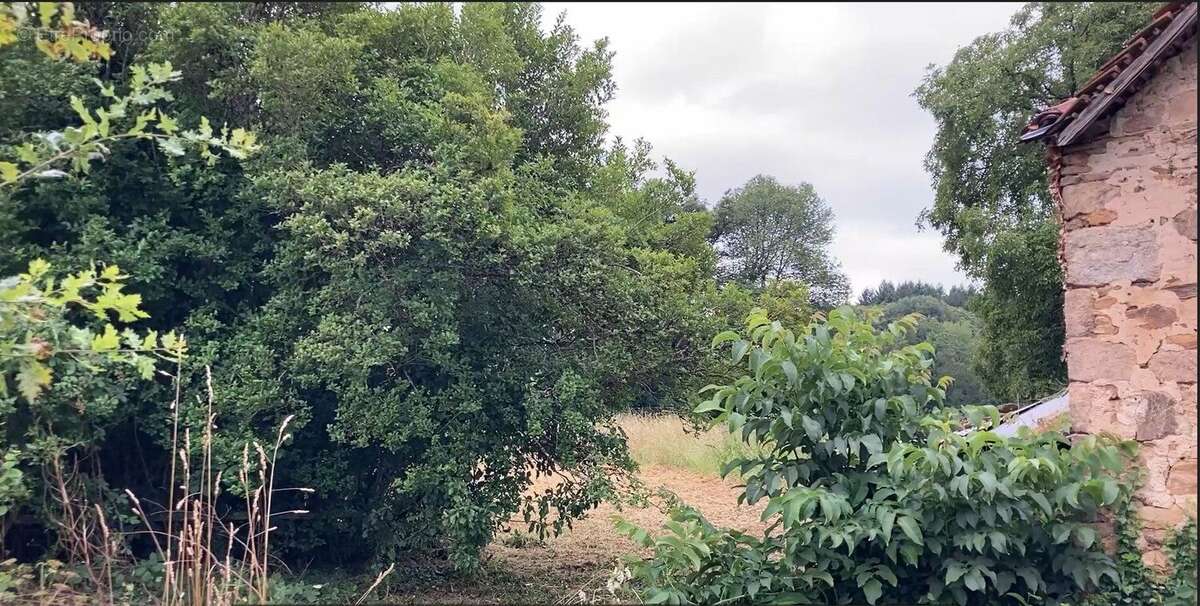 Maison à ROZIERS-SAINT-GEORGES