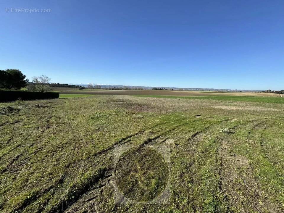 Terrain à LASBORDES