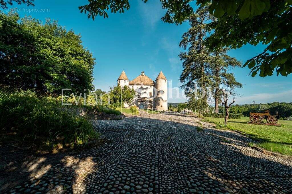 Château aux portes de genève - photo 11
