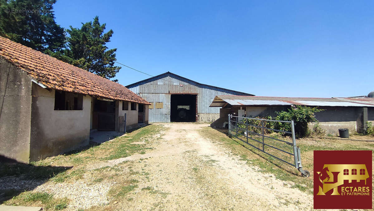 Propriété équestre 2,3 hectares - photo 8