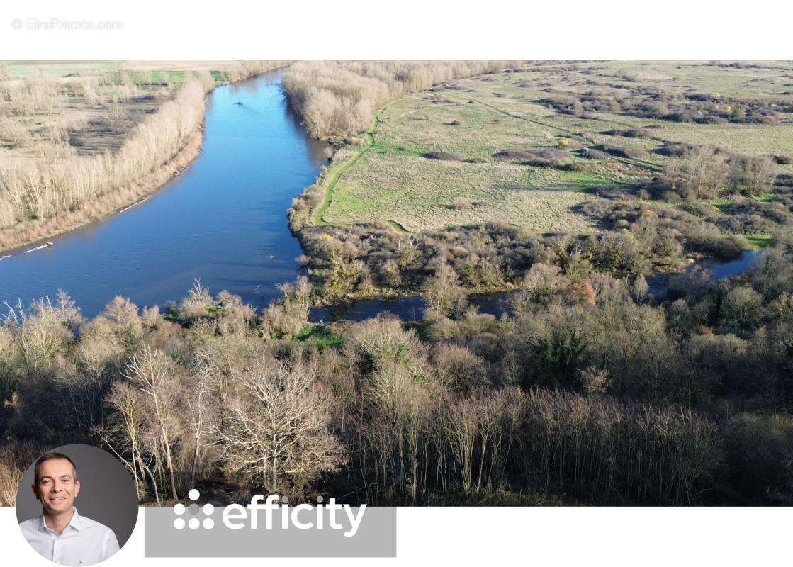 Maison à MONETAY-SUR-ALLIER