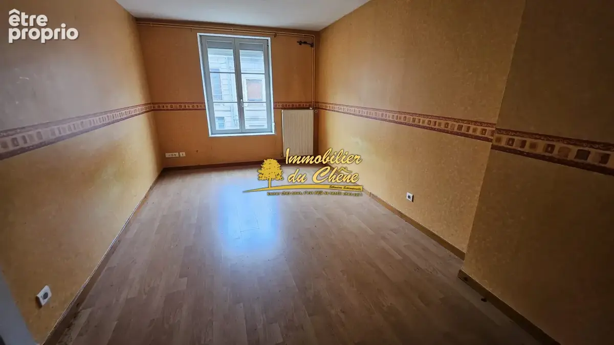 Appartement 195 m² à vendre à Luxeuil-Les-Bains (70300) - photo 3