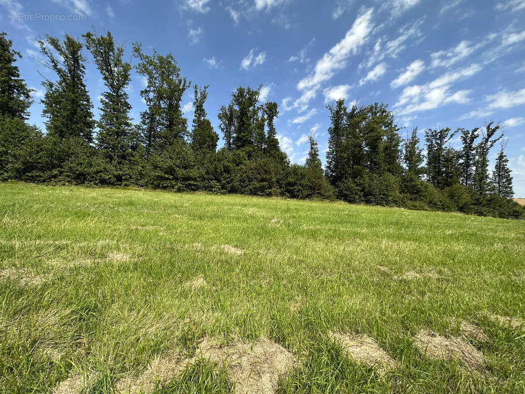 Terrain à LIXY