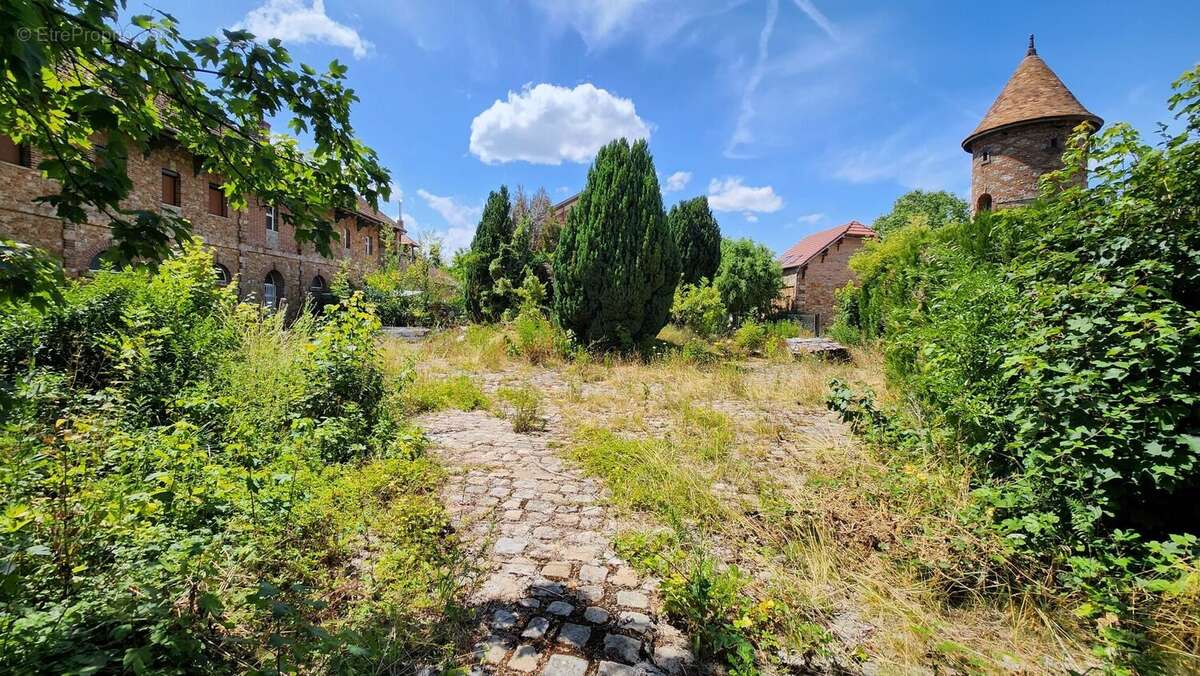 Terrain à BRIIS-SOUS-FORGES