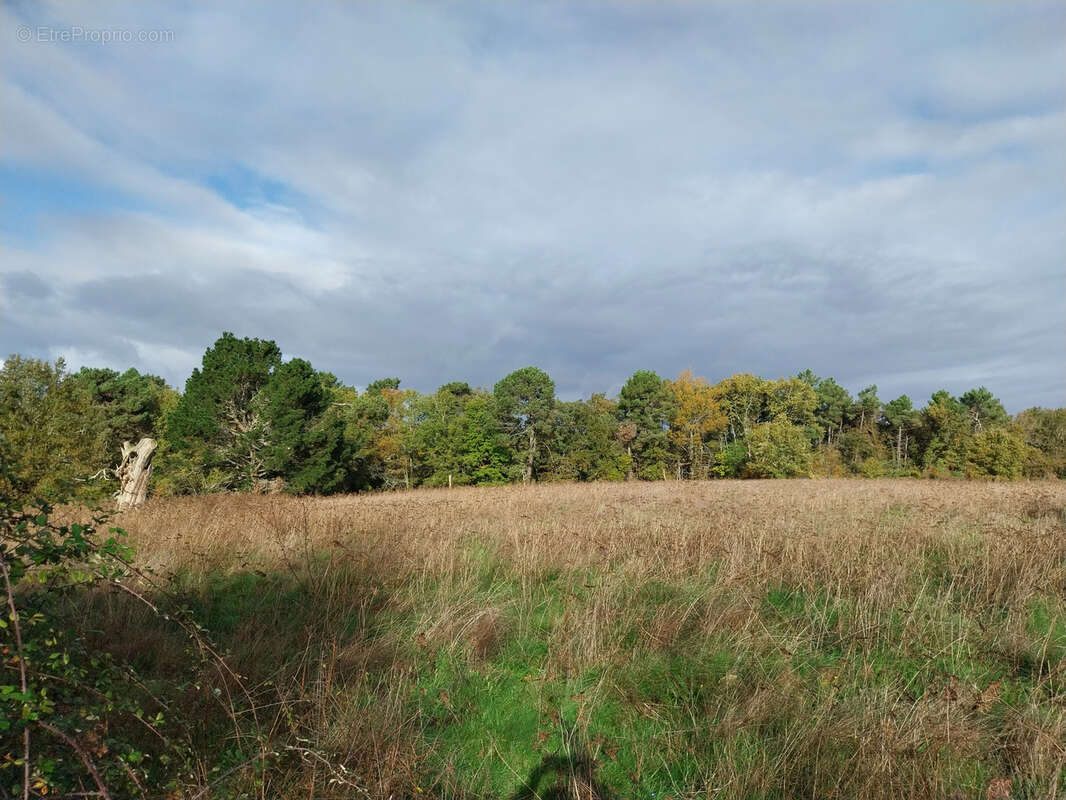 Maison à SAINT-LAURENT-DES-HOMMES