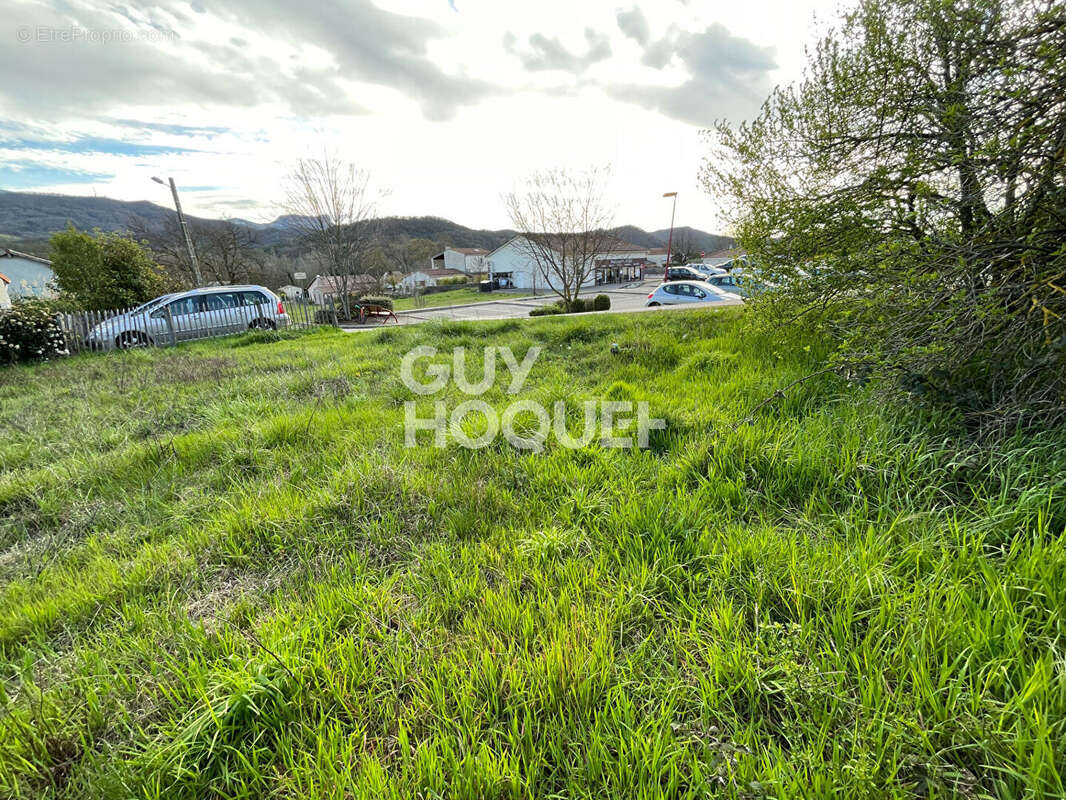 Terrain à MIRABEL-ET-BLACONS