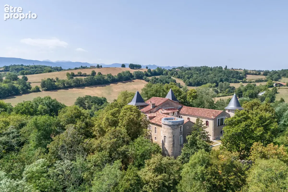 Château - Une situation magnifique et des intérieurs époustouflants - photo 11