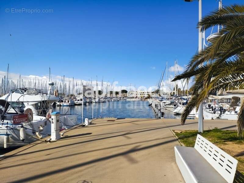 Commerce à LE GRAU-DU-ROI