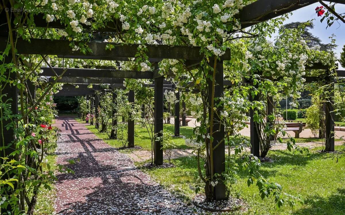 Appartement à ECULLY