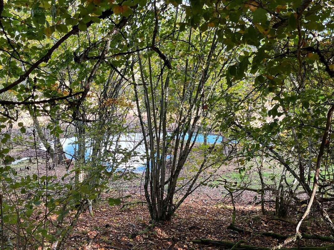 Terrain à MONTSAUCHE-LES-SETTONS