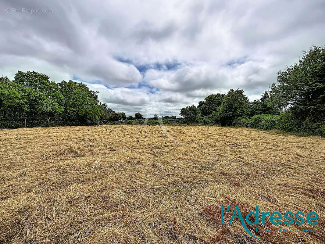Terrain Belgeard 1000 m² - photo 3