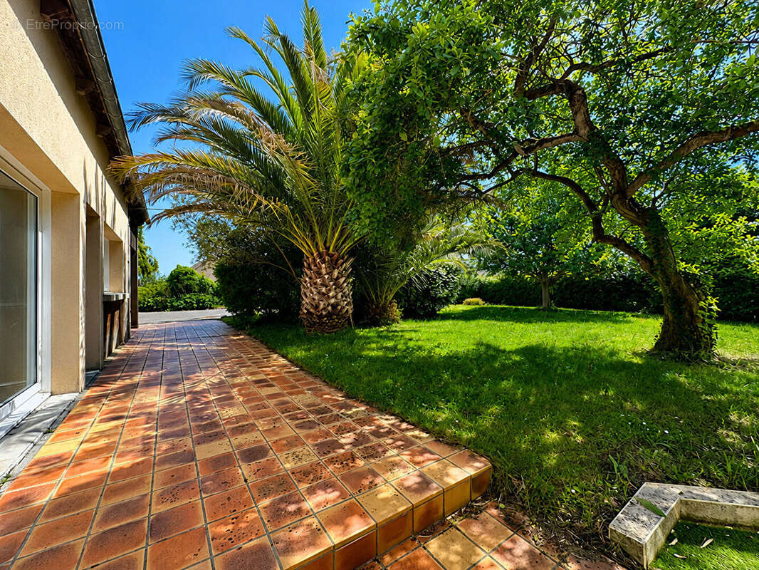 Maison familiale et son beau jardin arboré- langueux - photo 2