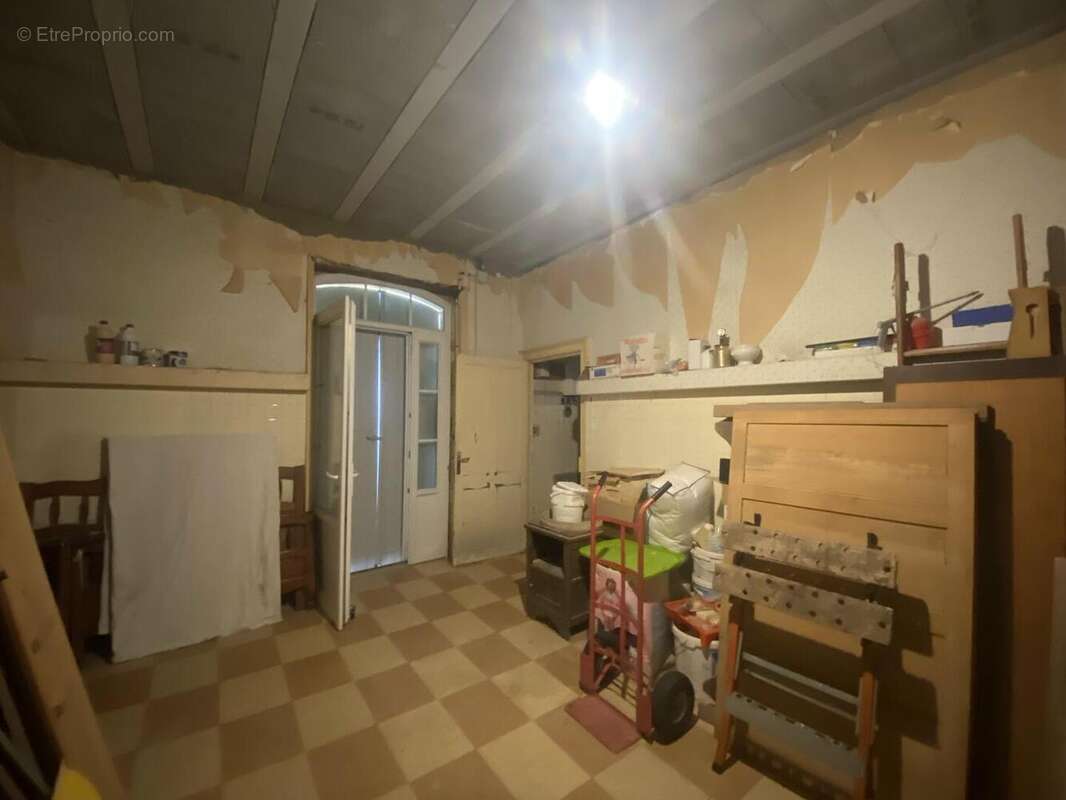 IMG8337 - Maison à SAINT-CYPRIEN