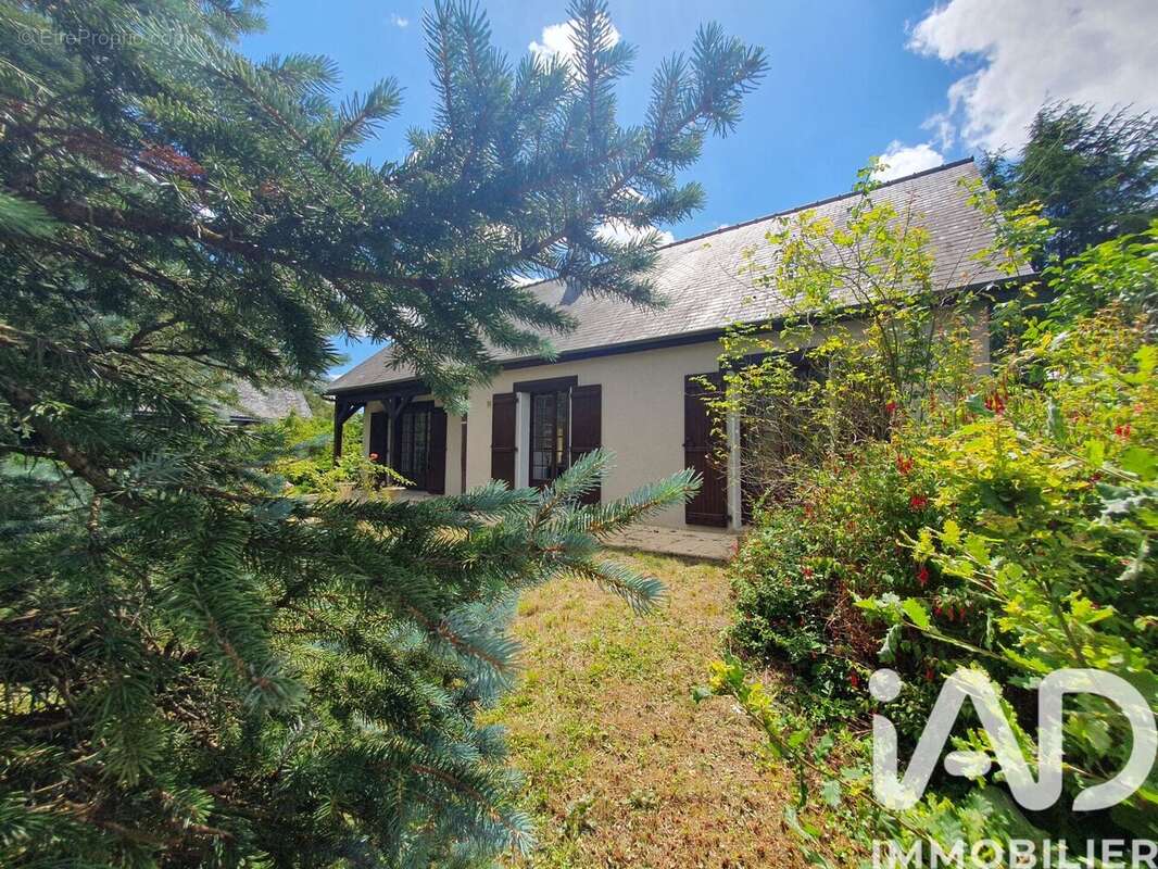 Photo 2 - Maison à SAINT-AVERTIN