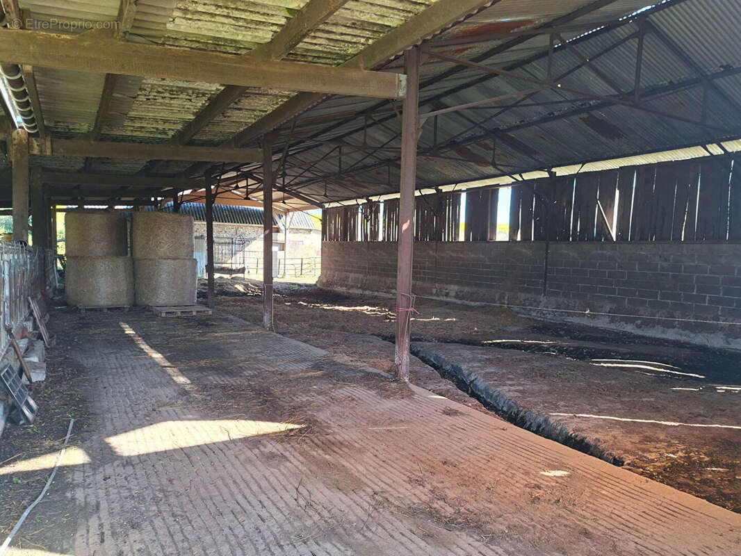 Maison à MARTIGNE-FERCHAUD