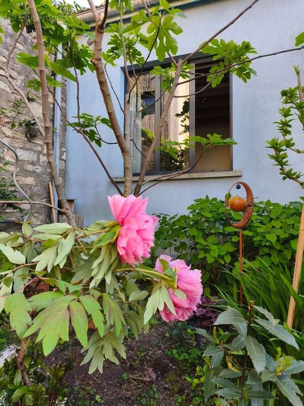 WhatsApp Image 2026-04-22 at 14 - Maison à LES LILAS