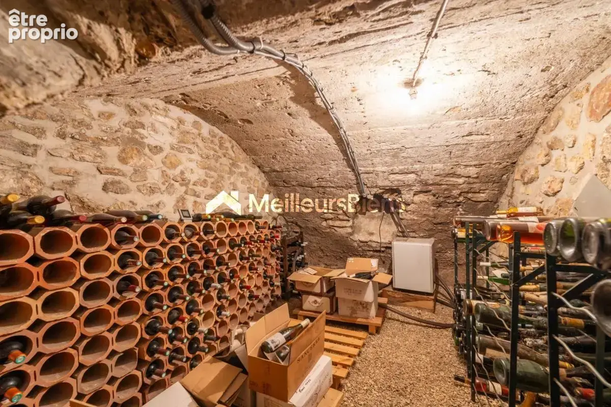 Grande maison familiale de caractère à quelques pas des bords de Marne - photo 20