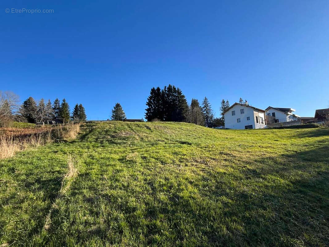 Terrain à FONCINE-LE-HAUT