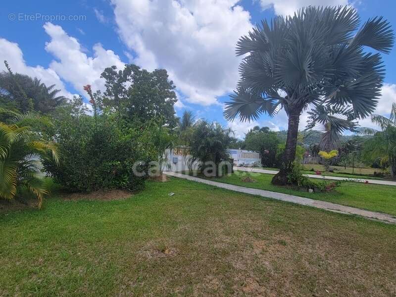 La Chaumière, Matoury - Villa T4 sur un terrain de 2000 m² - photo 8