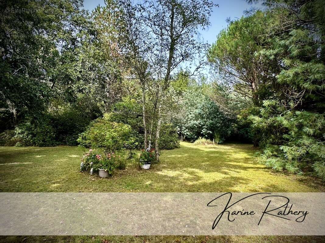 Maison à SAUGNACQ-ET-MURET