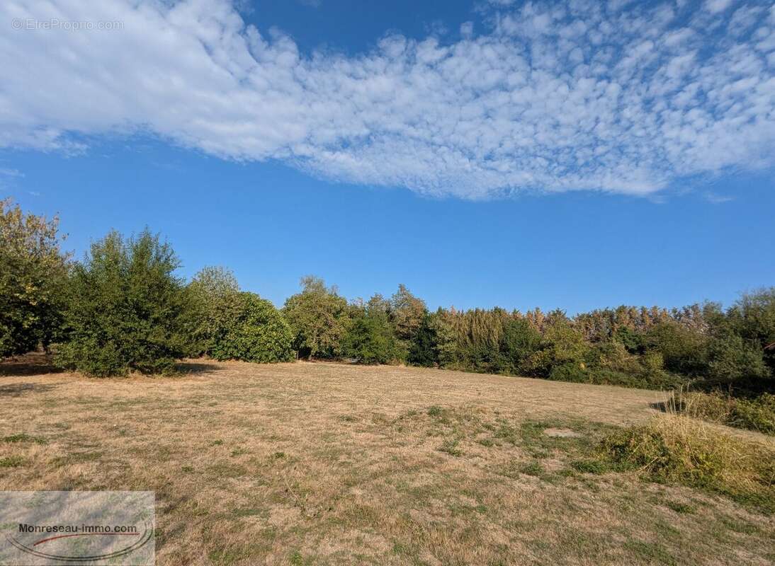 Sevrey, 1ère couronne de Chalon-sur-Saône, longère de 254 m² avec dépendances sur terrain de 5 000 m² - photo 19