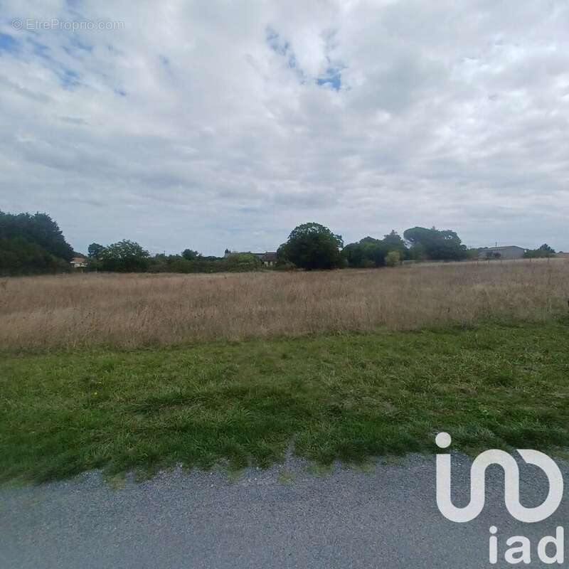 Photo 2 - Terrain à BELLUIRE