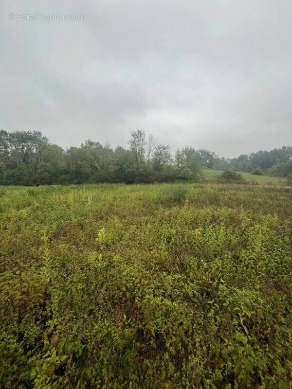 Terrain à SAINT-ONDRAS