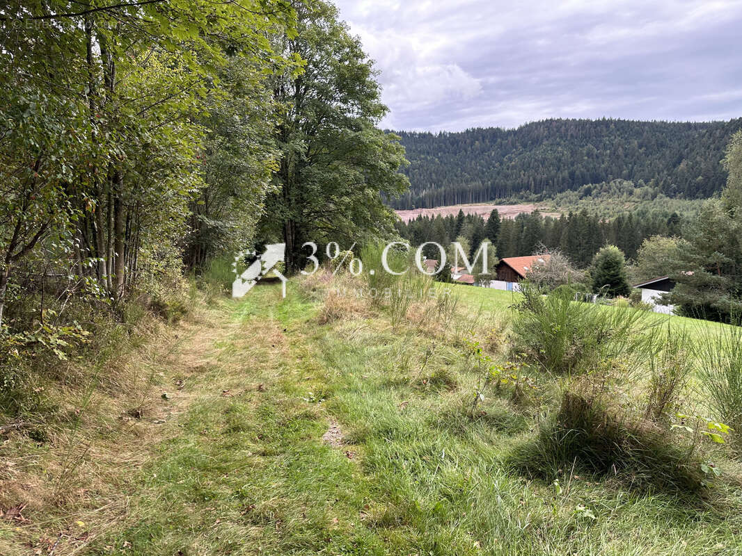 Terrain à GERARDMER