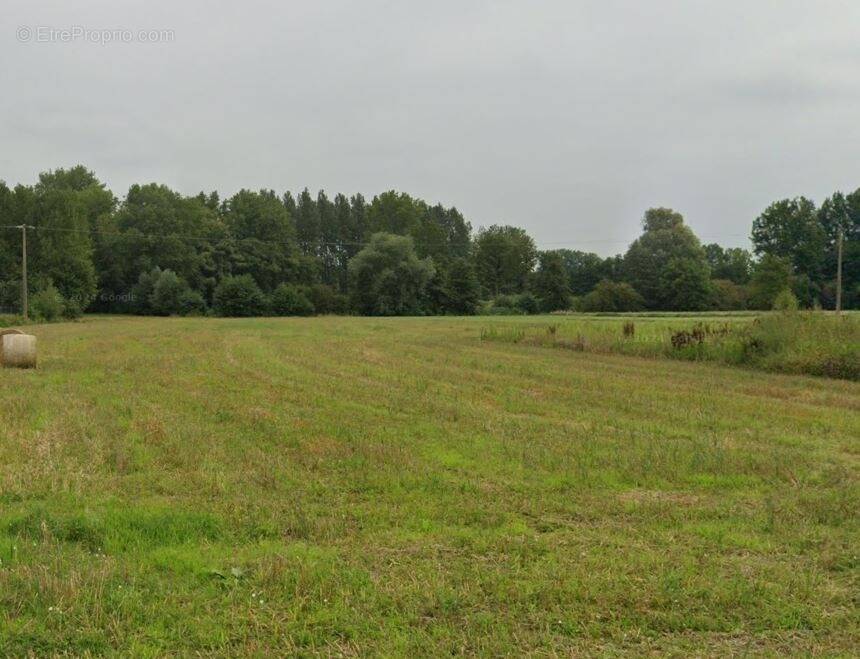 Terrain à MARCHIENNES