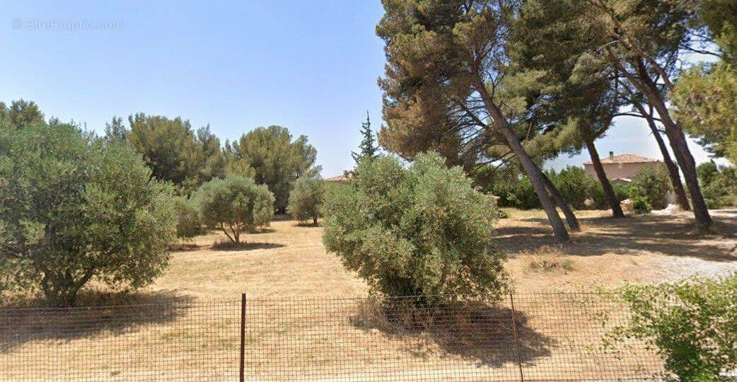 Terrain à SAINT-CHAMAS