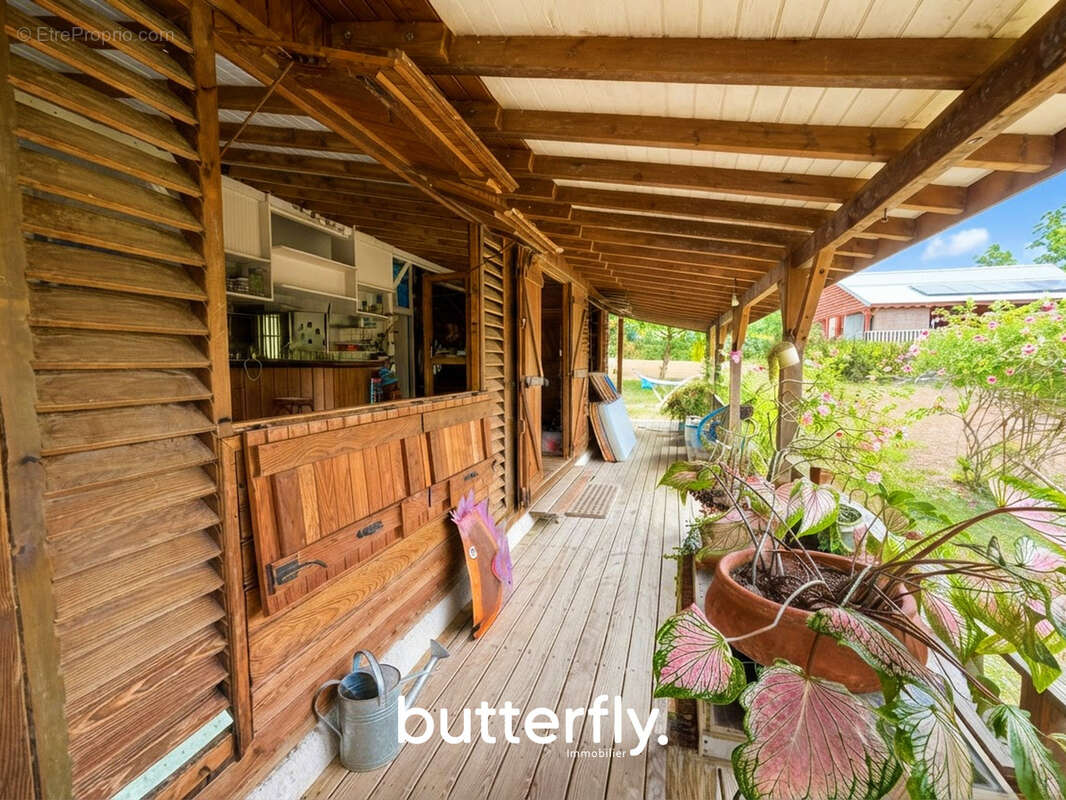 Belle Maison atypique à 5m de la plage de Bois Jolan - Sainte Anne - photo 2