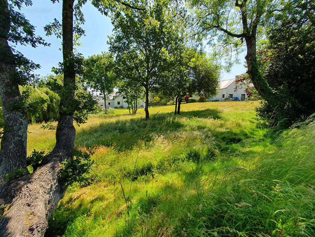Terrain à AURAY