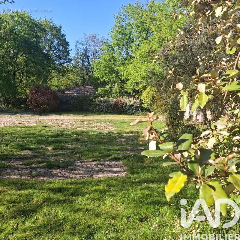 Photo 2 - Terrain à MONTAUBAN