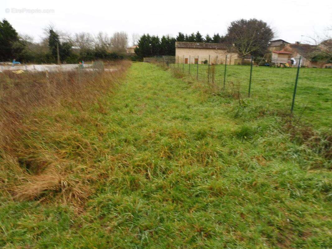 Terrain 23422 m² à Montpeyroux  - photo 3