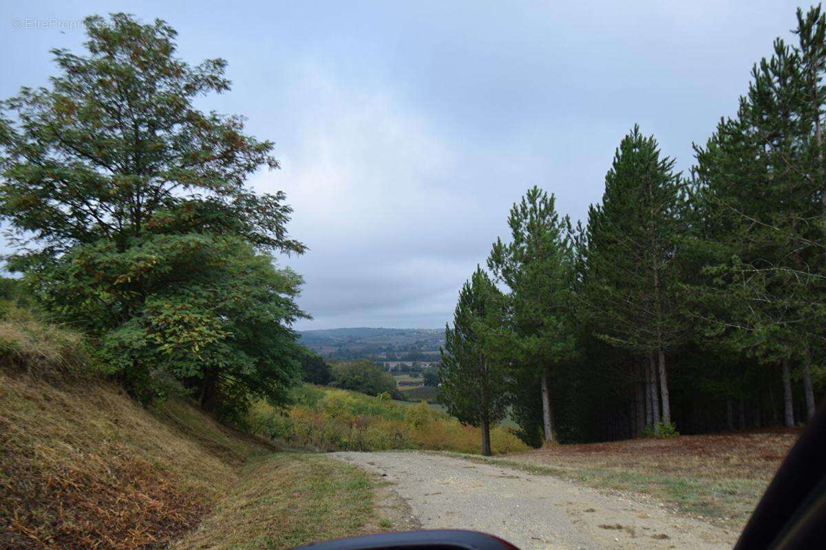 82130, Lafrançaise -  Maison / Fermette isolée  242 m² , 7 p., 4 ch. ,  sur terrain de près de 1Ha. avec 4hA supplémentaires en  - photo 17