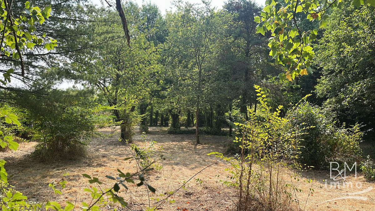 A vendre, belle parcelle sur la commune de TALLER - photo 4