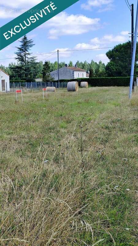 Photo 3 - Terrain à COURCOURY