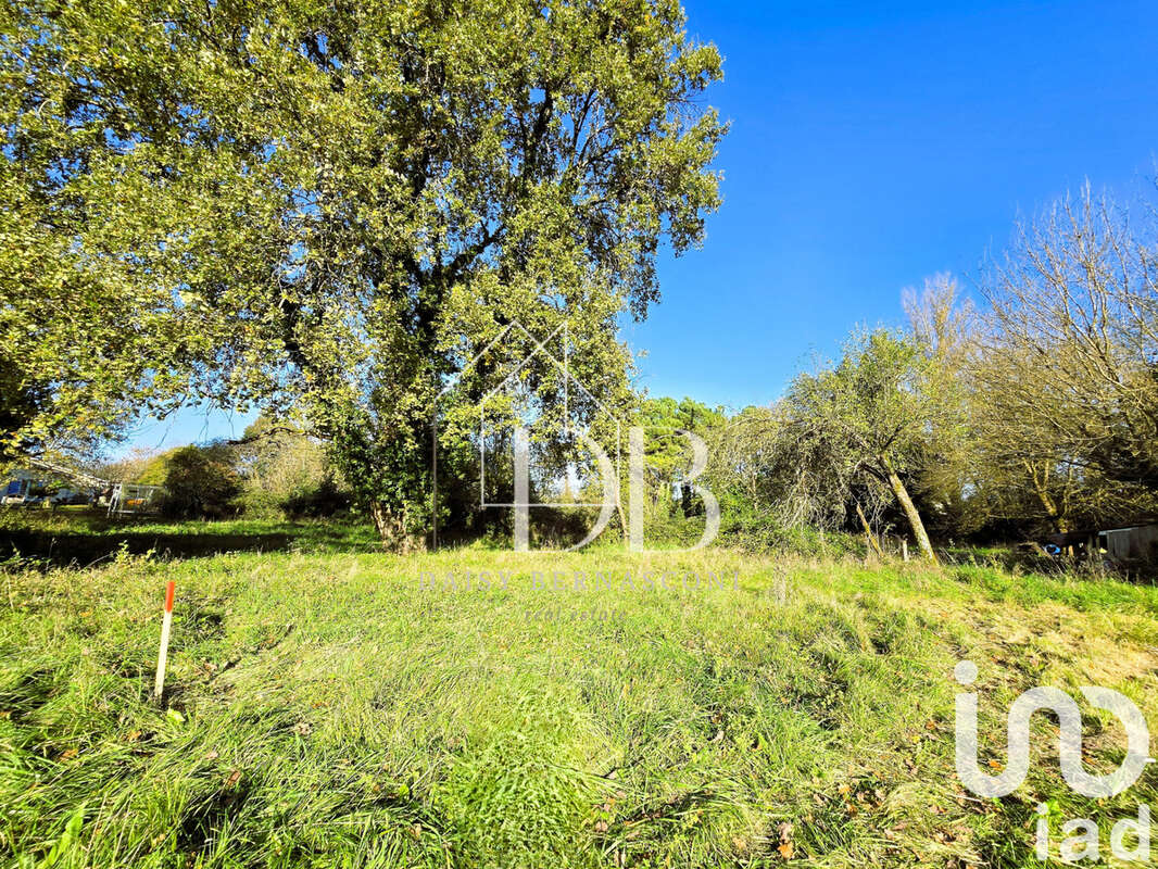 Photo 3 - Terrain à MARTILLAC