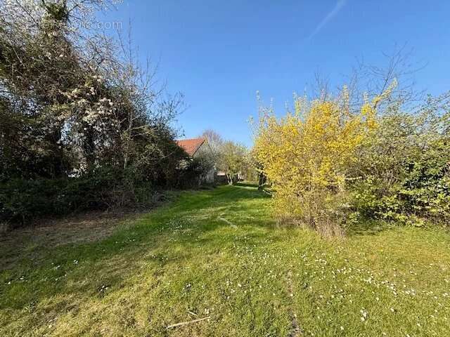 Maison à SAINT-MARTIN-DU-TERTRE